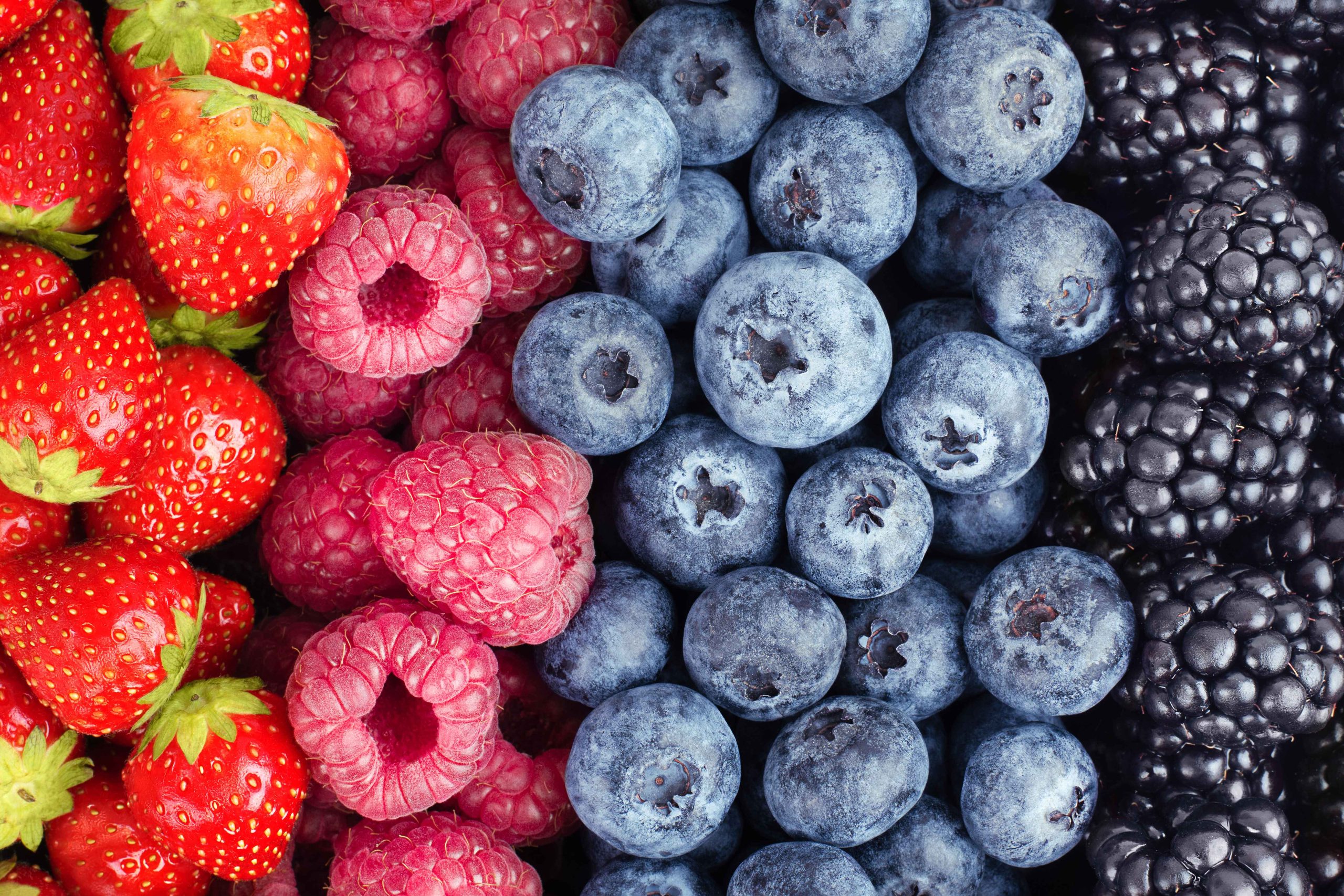 Dallas Healthy Vending | Arlington Food Snacks | McKinney Low Carb